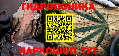 apvp Рузаевка